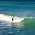 Surfing Rainbows Photograph by Dani McEvoy Surfing Rainbows Photograph by Dani McEvoy