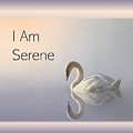 Swan I Am Serene by Nancy Ayanna Wyatt and PixxlTeufel Swan I Am Serene by Nancy Ayanna Wyatt and PixxlTeufel