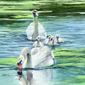 Swan Mates and Their Cygnets by Michelle Constantine