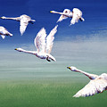 Six Swans Flying Painting by Wan Weisheng