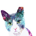 Sweet Cat Lady by Trindira A Sweet Cat Lady by Trindira A