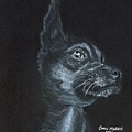 Sweetie Pie by Carol Morris