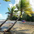 Swinging Under The Palm Trees, Loiza, Puerto Rico Photograph by Beachtown Views Swinging Under The Palm Trees, Loiza, Puerto Rico Photograph by Beachtown Views