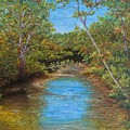Sycamores of Wilson Bridge by Lisa Bliss Rush