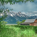 T A Moulton Barn, Grand Tetons Photograph by Marcy Wielfaert T A Moulton Barn, Grand Tetons Photograph by Marcy Wielfaert