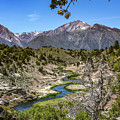 _t__9337 Photograph by John T Humphrey _t__9337 Photograph by John T Humphrey