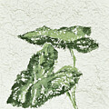 Tactile Leaves II by Chris Paschke