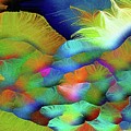 Taking a Deep Breath between Rivers and Borders Painting by Aberjhani Taking a Deep Breath between Rivers and Borders Painting by Aberjhani