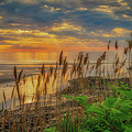 Tall Grasses of Marginal Way Photograph by Penny Polakoff Tall Grasses of Marginal Way Photograph by Penny Polakoff