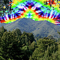 Tamalpais Sky Dye #4 Photograph by Ben Upham III Tamalpais Sky Dye #4 Photograph by Ben Upham III