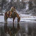 Tap the Water by Laura Hedien