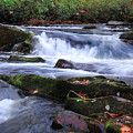 Tellico Moment Photograph by Rick Lipscomb Tellico Moment Photograph by Rick Lipscomb