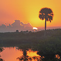 Tequila Sunrise Photograph by Bradford Martin Tequila Sunrise Photograph by Bradford Martin