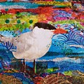 Tern Portrait Mixed Media by Deborah Cherrin Tern Portrait Mixed Media by Deborah Cherrin