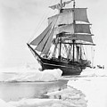 Terra Nova in Antarctic pack ice, 1910 Photograph by Scott Polar Research Institute Terra Nova in Antarctic pack ice, 1910 Photograph by Scott Polar Research Institute