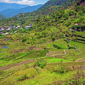 Terraces of Sagada Photograph by Arj Munoz Terraces of Sagada Photograph by Arj Munoz