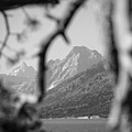 Teton in the Black and White Photograph by Go and Flow Photos Teton in the Black and White Photograph by Go and Flow Photos
