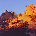 Texas Canyon Panorama 2 Photograph by Tom Daniel