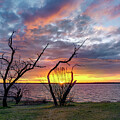 Texas Lake Sunset - 31383 by Wall Art Of Texas