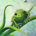 Thank You - Bruce's Frog by Sarah Irland
