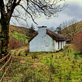 Thatched Photograph by Peggy Dietz Thatched Photograph by Peggy Dietz