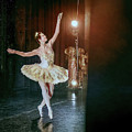 The Ballerina Photograph by Craig J Satterlee The Ballerina Photograph by Craig J Satterlee