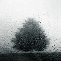 The Beautiful Sound Of Rain by Dorit Fuhg