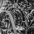The Beauty is in the Details Photograph by Gerri Bigler The Beauty is in the Details Photograph by Gerri Bigler