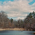 The Beauty Of Film 175 by Robert Fawcett