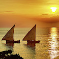 The beauty of Zanzibar Photograph by Matt Cohen The beauty of Zanzibar Photograph by Matt Cohen