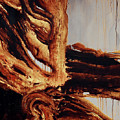 The Bidirectional Doorway Painting by Sv Bell The Bidirectional Doorway Painting by Sv Bell