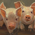The Big Squeeze Painting by Carolyne Hawley The Big Squeeze Painting by Carolyne Hawley