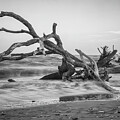 The Boneyard at Botany Bay by Bob Decker