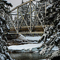 The Bridge Photograph by Jerald Blackstock
