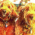 The Brothers Goldendoodle by Xine Segalas