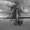 The calm after the storm Photograph by Carl Marceau The calm after the storm Photograph by Carl Marceau