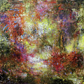 The Chosen Pathway by Patricia Lintner