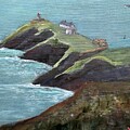 The Cliffs by Deborah Naves