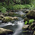 The Creek Photograph by Thomas Schroeder The Creek Photograph by Thomas Schroeder