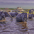 The Crossing Photograph by Marcy Wielfaert The Crossing Photograph by Marcy Wielfaert