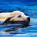 The Deep End by R J Marchand