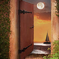 The Door Photograph by Shara Abel The Door Photograph by Shara Abel