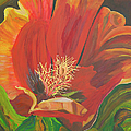The fiery flower by Ofra Wolf