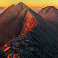 The Foal Ridge Photograph by Evgeni Dinev The Foal Ridge Photograph by Evgeni Dinev