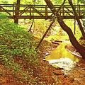 The Footbridge in the Woods Photograph by Stacie Siemsen The Footbridge in the Woods Photograph by Stacie Siemsen