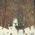 The Forest of Snow White by Carrie Ann Grippo-Pike The Forest of Snow White by Carrie Ann Grippo-Pike