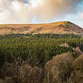 The Garth by Gavin Lewis