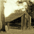 The Goat Barn by Barry Styles