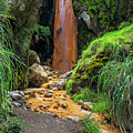 The golden waterfall Photograph by Henri Leduc The golden waterfall Photograph by Henri Leduc