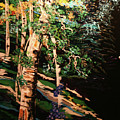 The Grandfather Painting by Marilyn Quigley The Grandfather Painting by Marilyn Quigley